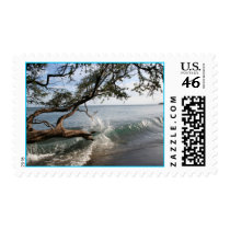 wave breaking over tree postage