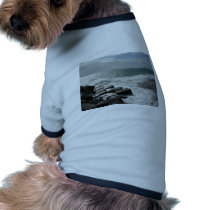 Wave Hit In Pier pet clothing by lifesphere Wave Hit In Pier pet clothing