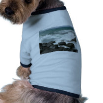 Wave On Pier pet clothing by lifesphere Wave On Pier pet clothing