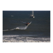 Wave sailor at Punta San Carlos, Baja, Mexico posters by pshaw_photo Wave sailor at Punta San Carlos, Baja, Mexico posters