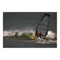 Wave sailor at Punta San Carlos, Baja, Mexico posters