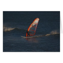 Wave sailor at Punta San Carlos cards