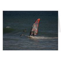 Wave sailor at Punta San Carlos cards