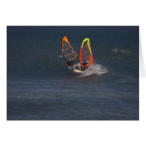 Wave sailors at Punta San Carlos cards
