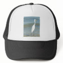 wave watch ii hats