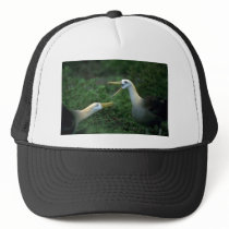Waved Albatross In Courtship Trucker Hats