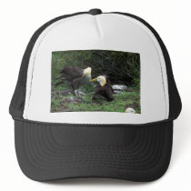 Waved Albatross In Courtship Trucker Hat