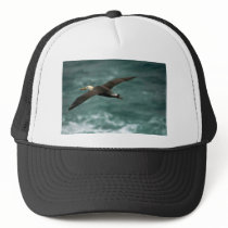 Waved Albatross In Flight Trucker Hats