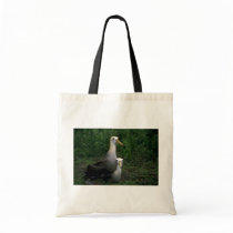 Waved Albatross Mating Bags