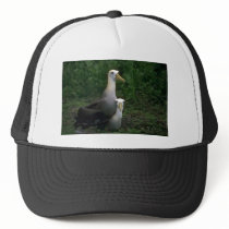 Waved Albatross Mating Trucker Hats