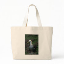 Waved Albatross On Egg Tote Bags