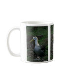 Waved Albatross On Egg Mug