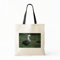 Waved Albatross Preening Feathers Tote Bag