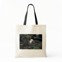 Waved Albatross Ready To Fly Tote Bag