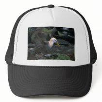 Waved Albatross Ready To Fly Hats