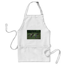 Waved Albatross, Territorial Aggression Apron