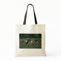 Waved Albatross, Territorial Aggression Tote Bag