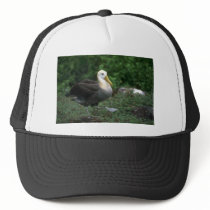 Waved Albatross Walking Trucker Hat
