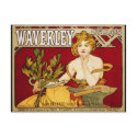 Waverley Cycles - Art Nouveau - Alphonse Mucha postcards