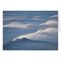 Waves cards