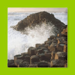 Waves Crashing onto Pilings magnets