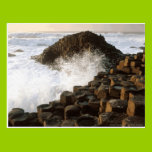 Waves Crashing onto Pilings postcards