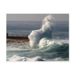 Waves Crashing Seals La Jolla Postcard
