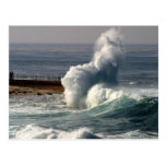 Waves Crashing Seals La Jolla Postcard