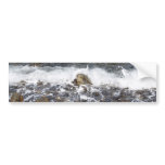 Waves Crashing To The Shore