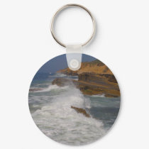Waves For Surf keychains