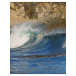 waves_near_big_sur flyer design