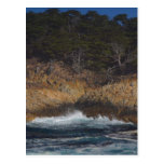 Waves On Point Lobos Postcards