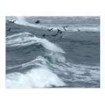 Waves Seen From The Sunset Cliffs In San Diego Postcards