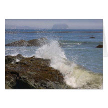 Waves Splashing Ocean Seaweed Beaches Cards