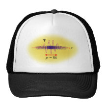 Wavicle Duality Mesh Hat