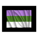 Waving genderqueer pride fl postcards