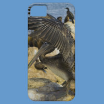 Waving Pelican - Barely There casemate cases