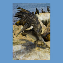Waving Pelican Poster posters