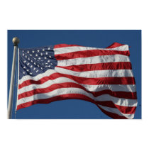 waving stripes posters