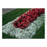 magenta, red, carmine, persimmo, maroon, amaranth,