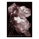 Wax Roses Cards