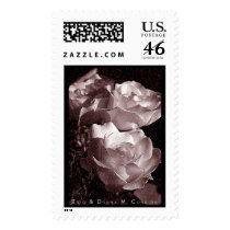 Wax Roses Postage