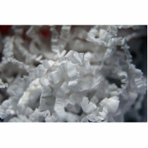 Wax Shavings Photo Sculptures