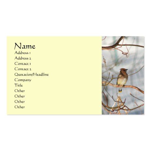 Waxwing Bird In Winter Animal Business Card (front side)