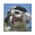 waz up magnets by cindylu5 waz up magnets