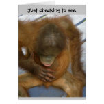 Wazzup Funny Hello to Friends Greeting Cards