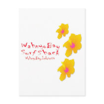 WB Hibiscus postcards