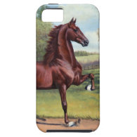 WC Merchant Prince by Jeanne Newton Schoborg iPhone 5 Covers