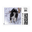 WCB Pup Postage Stamps by Petcetera WCB Pup Postage Stamps