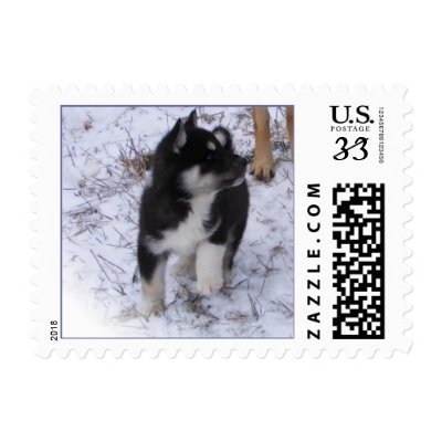 WCB Pup Postage Stamps by Petcetera